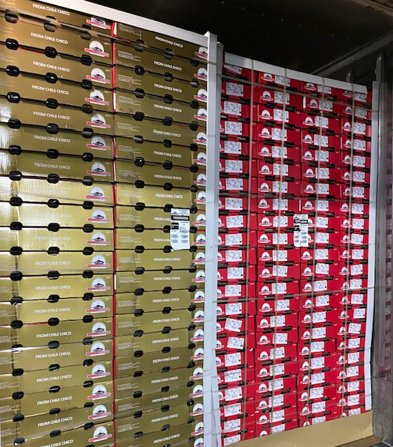 Consolidacion de contenedores con fruta exportacion