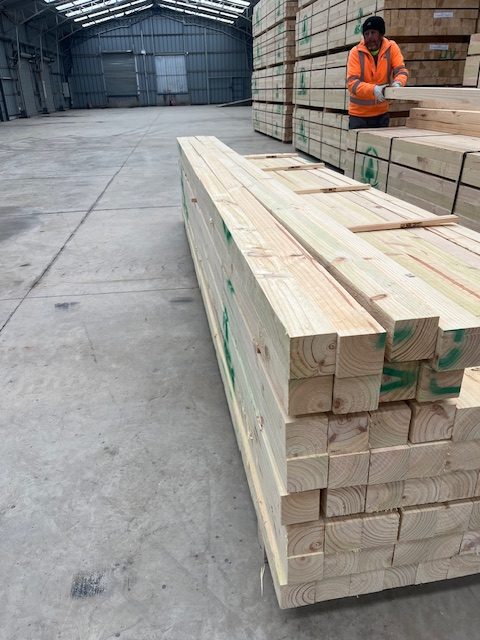 Inspección SAG Madera Exportación en San Antonio