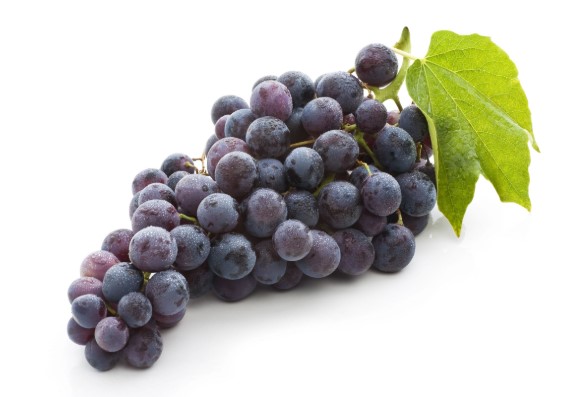 trasvasije de fruta inspeccionada